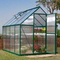Poly-Tex Palram - Canopia Nature 6' x 8' Greenhouse, Green Frame, Twin-Wall HG5008G-1B